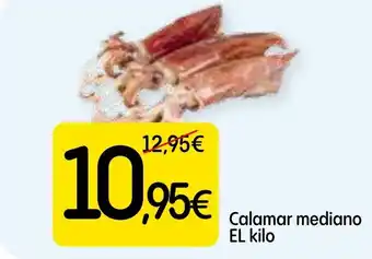 Dialprix Calamar mediano oferta