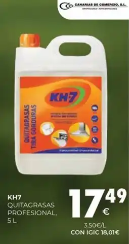 CashDiplo KH7 Quitagrasas profesional oferta