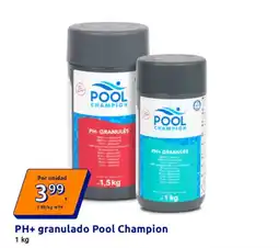 Action PH+ granulado Pool Champion oferta