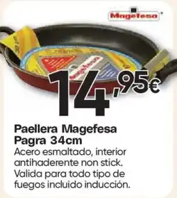 Hiper FROIZ Paellera Magefesa Pagra oferta