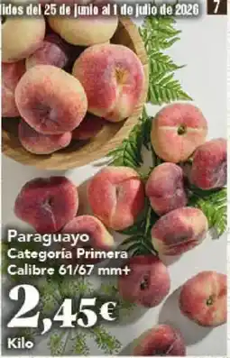 Gadis Paraguayo Categoría Primera Calibre 61/67 mm+ oferta