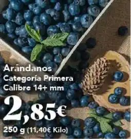 Gadis Arándanos Categoría Primera Calibre 14+ mm oferta