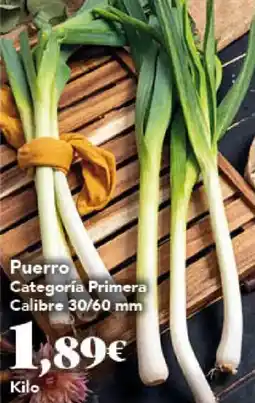 Gadis Puerro oferta