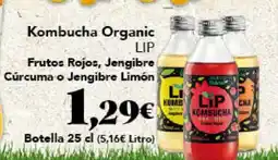 Gadis LIP Kombucha Organic Frutos Rojos, Jengibre Cúrcuma o Jengibre Limón oferta