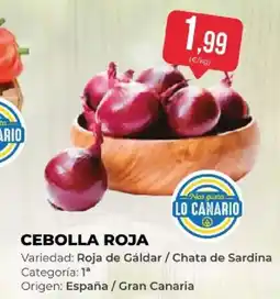 SPAR Cebolla roja oferta