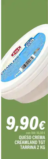 Cash Ifa Queso crema creamland tgt tarrina oferta