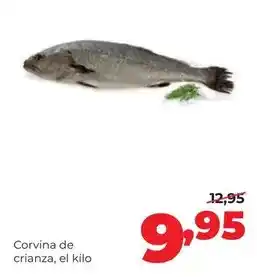 Alimerka - corvina de crianza