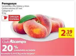 Alcampo Paraguaya oferta