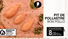 Plusfresc Bon - pit de pollastre oferta