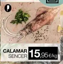 Plusfresc Calamar sencer oferta
