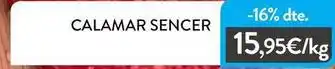 Calamar sencer