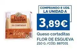 Dialsur Cash & Carry Flor de esgueva - queso cortaditas oferta