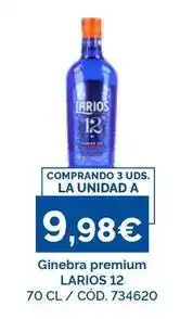 Dialsur Cash & Carry Larios - ginebra premium oferta