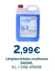 Dialsur Cash & Carry Saonil - limpiacristales multiusos oferta