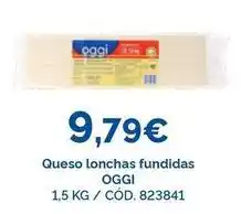 Dialsur Cash & Carry Oggi - queso lonchas fundidas oferta