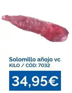 Dialsur Cash & Carry Solomillo añojo oferta