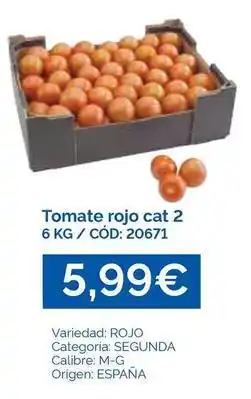Dialsur Cash & Carry Origen - tomate rojo cat 2 oferta