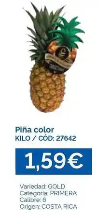 Dialsur Cash & Carry Gold - piña color oferta