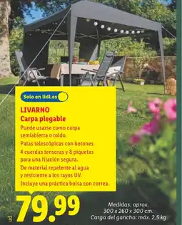 Lidl LIVARNO Carpa plegable oferta