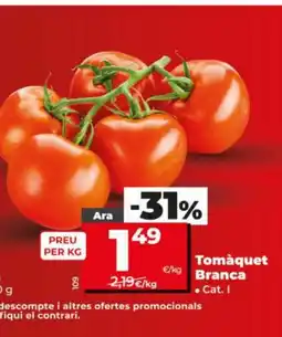 Dia Tomàquet Branca oferta