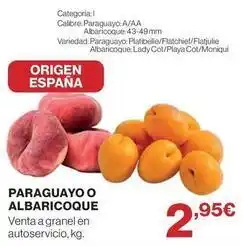 Supercor Origen - paraguayo o albaricoque oferta