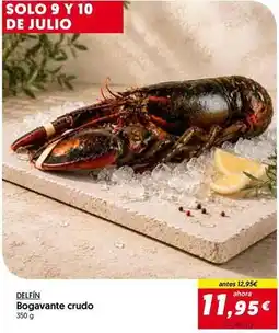 Hiper Usera Delfín - bogavante crudo oferta