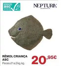 El Corte Inglés Remol criança asc oferta
