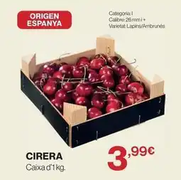 El Corte Inglés Origen - cirera oferta