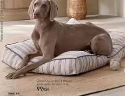 El Corte Inglés City - colchon lines fred & rita para perros y oltros oferta