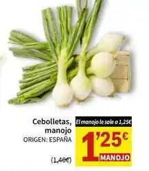 SPAR Origen - cebolletas oferta