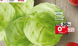 Dia Lechuga iceberg oferta
