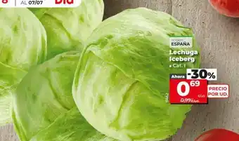 Dia Lechuga iceberg oferta