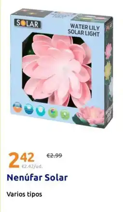 Action Nenufar solar oferta