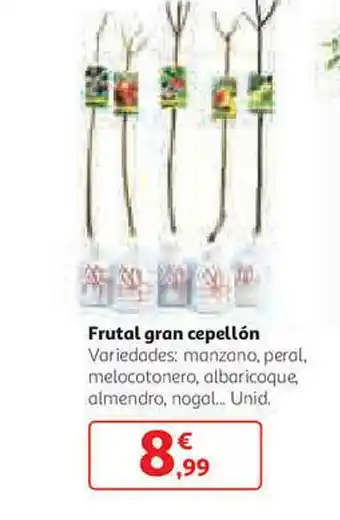 Alcampo Frutal Gran Cepellón oferta