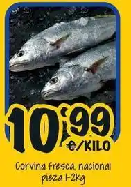 Cash Fresh Corvina fresca, nacional oferta