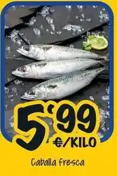 Cash Fresh Caballa fresca oferta