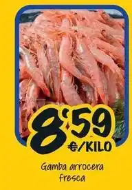 Cash Fresh Gamba arrocera fresca oferta