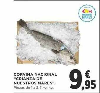 Supercor Corvina Nacional oferta