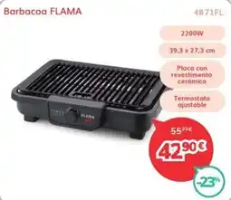 Mi electro Flama Barbacoa oferta