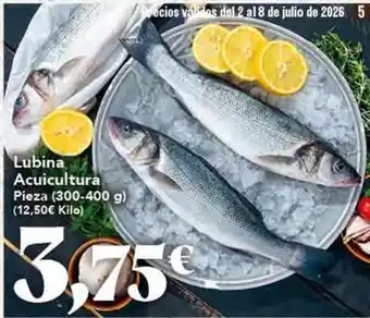 Gadis Lubina acuicultura oferta