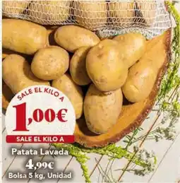 Gadis Patata lavada oferta