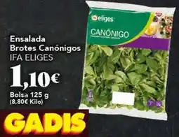 Gadis Ifa eliges - ensalada brotes canónigos oferta