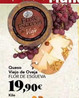 Gadis Flor de esgueva - queso viejo de oveja oferta