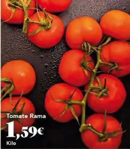 Gadis Rama - tomate oferta