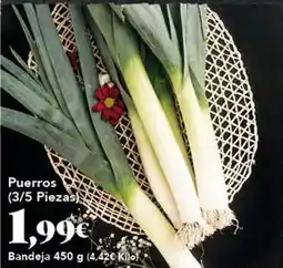 Gadis Puerros oferta