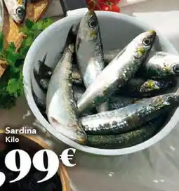 Gadis Sardina oferta