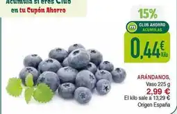 Masymas Origen - arandanos oferta