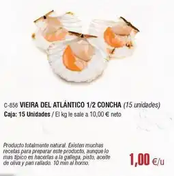 Abordo Mas - vieira del atlantico 1/2 concha oferta