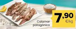 Autoservicios Familia Calamar patagonico oferta