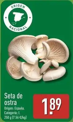 ALDI Seta de ostra oferta
